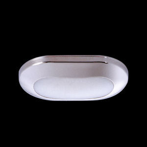 courtesy ceiling light