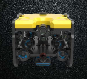 inspection ROV 1