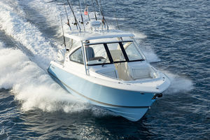 outboard runabout