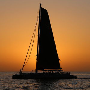 catamaran sailing yacht