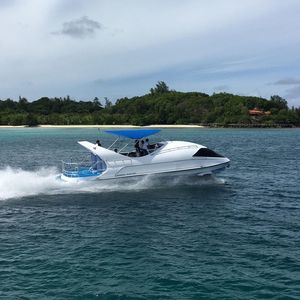 glass-bottom boat