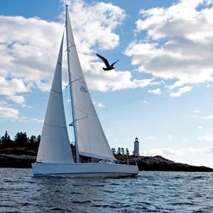 cruising sailing yacht