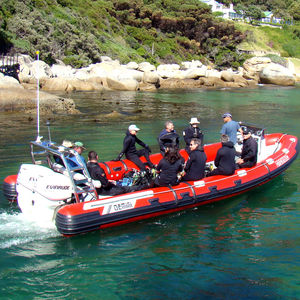 rescue boat