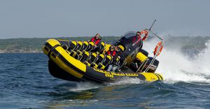 sightseeing boat professional boat