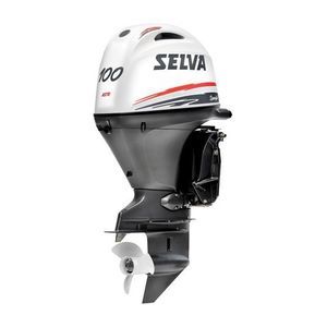 outboard engine