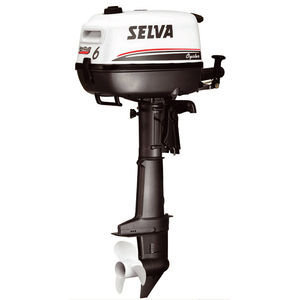 outboard engine
