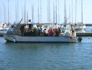 dive support boat professional boat
