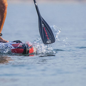 stand-up paddle board paddle