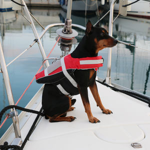 watersports buoyancy aid
