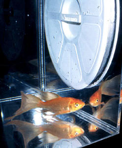 boat inspection hatch