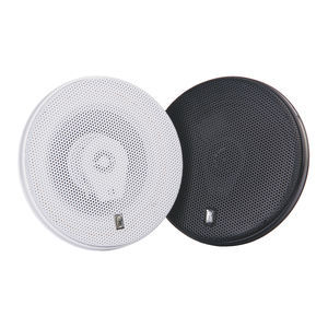boat speaker