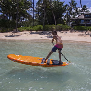 entry-level windsurf board