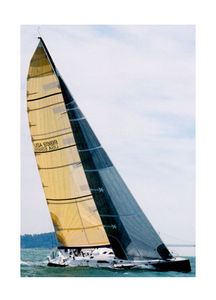 storm jib 1
