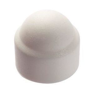 bolt and nut cap 1