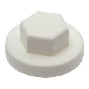 bolt and nut cap 1