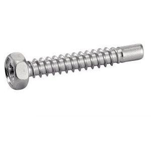 screw with hexagonal head 1