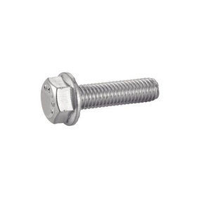 screw with hexagonal head 1
