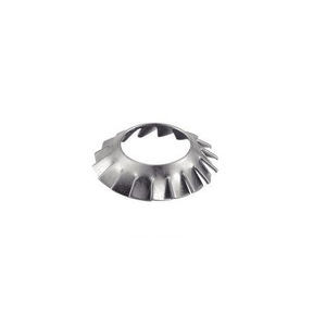 locking washer 1