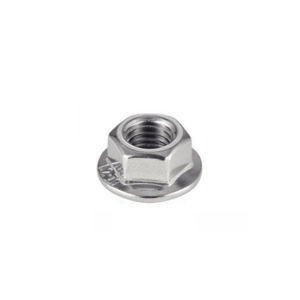 hexagonal nut 1
