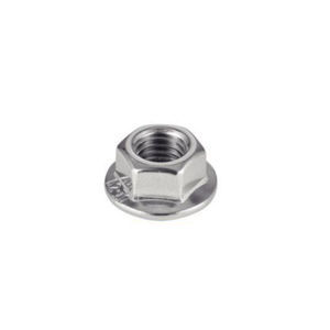 hexagonal nut 1
