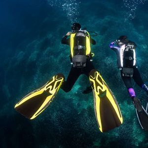 dive fin