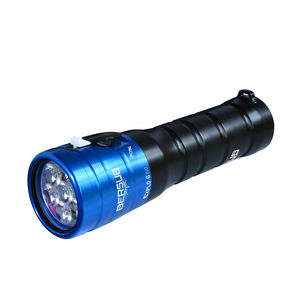 LED dive light 1