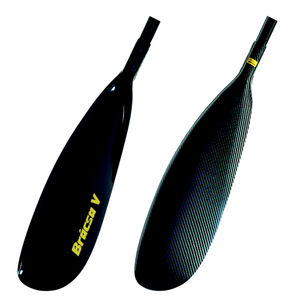 kayak paddle 1