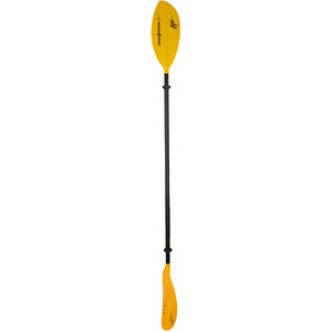 kayak paddle