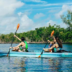 kayak paddle