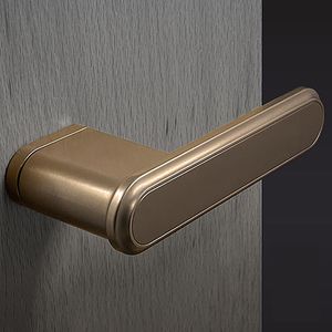 boat door handle 1