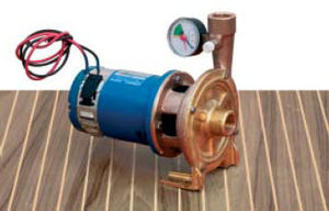 boat pump