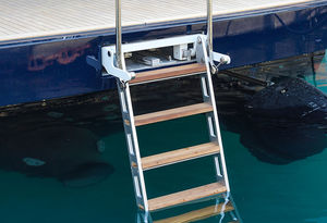 boat ladder