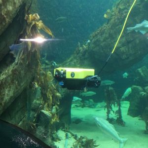 intervention underwater ROV