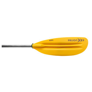 kayak paddle 1