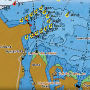 digital nautical chart