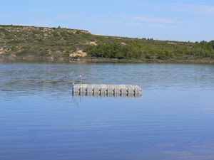 fixed platform