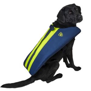 watersports buoyancy aid