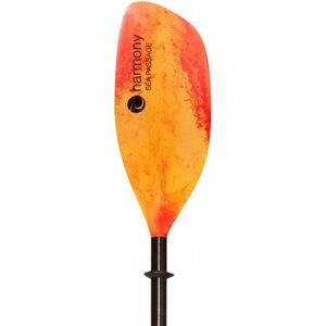 kayak paddle