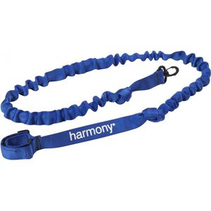 paddle leash