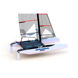 recreational sport catamaran