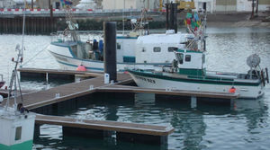 floating dock