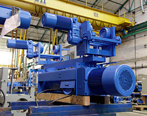 electric hoist