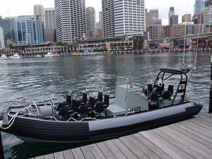 inboard professional boat
