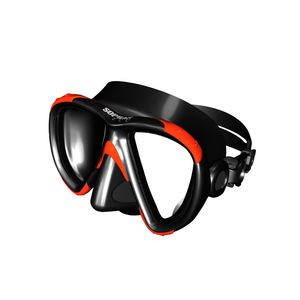 dual-lens dive mask