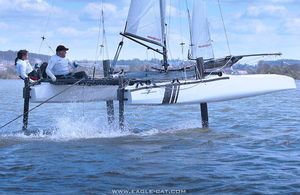 foiling sport catamaran