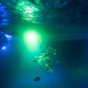 underwater boat light 1