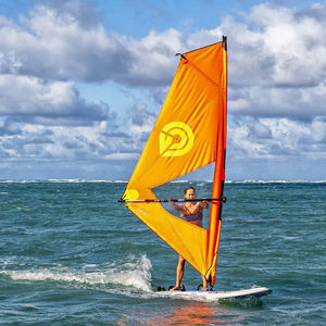 fast windsurf board