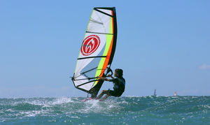 child's windsurf sail