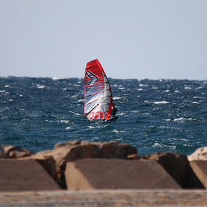 race windsurf sail