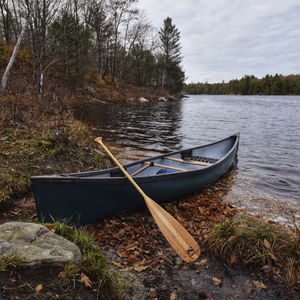 canoe paddle 1